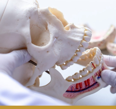 ORAL & MAXILLOFACIAL SURGERY IN AL WARQA